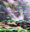 mtvza_rgb_Vegetation.png